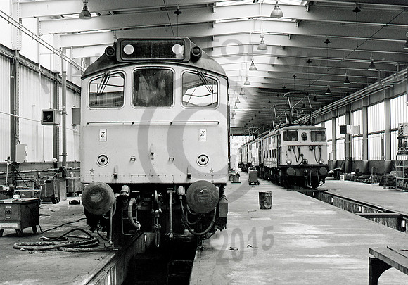 25320 Reddish 080681 JC559