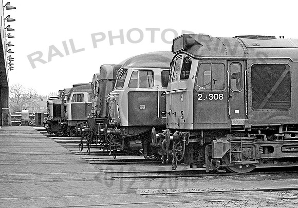 25308-Toton-170479-JC919