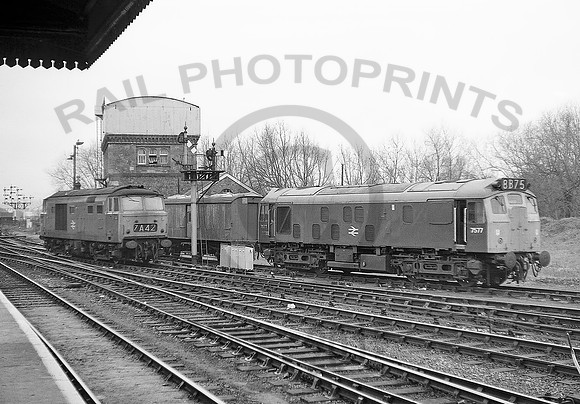 7577-Hymek-200273-DM342