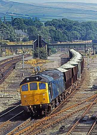 25136-Y-Chinley-050981-JC166
