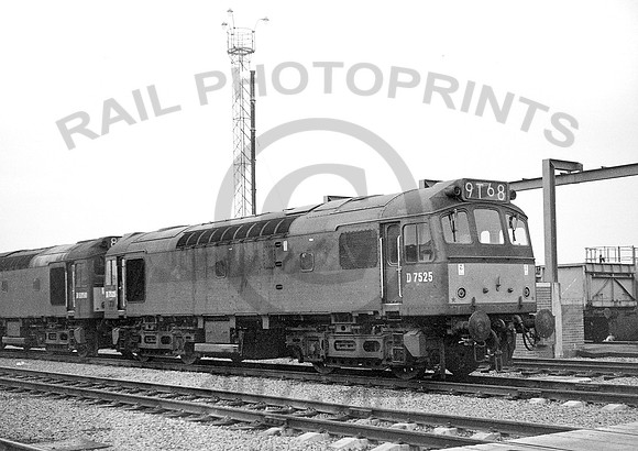 D7525-Toton-110965-RPC020