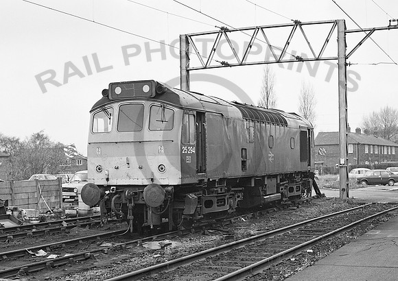 25294-Y-Reddish-290483443