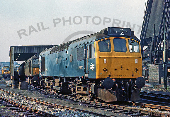 D7672-Y-Derby-0467-PRC309