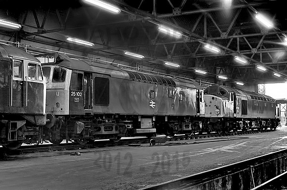 25102-40032-Longsight-260378-JC1
