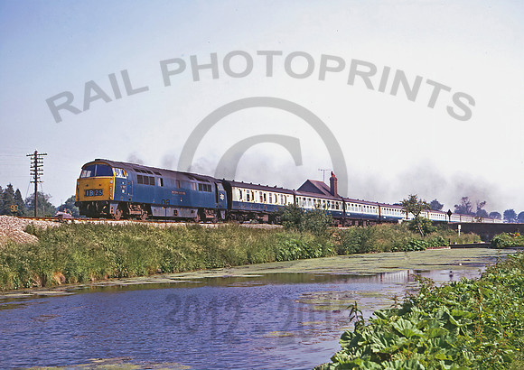 1021 Bedwyn 210675 DMo083