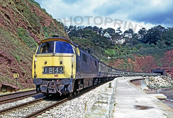 1021 Teignmouth 100874 DMo051