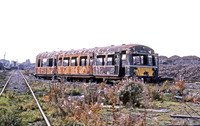 E79269 Birds Long Marston 211071 GS 092