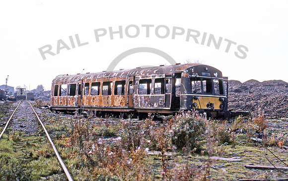 E79269 Birds Long Marston 211071 GS 092