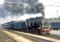 625137-Y-Verona-050973-IT444