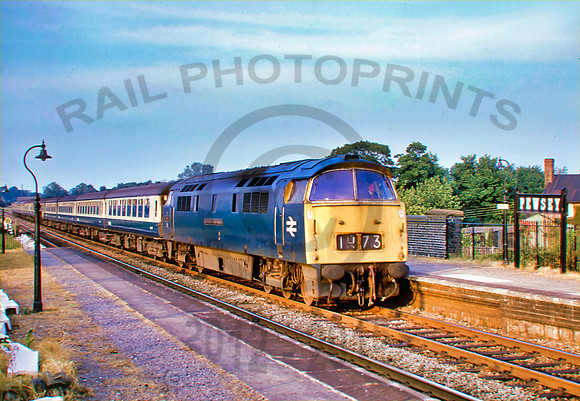 1001 Pewsey 210675 DMo001