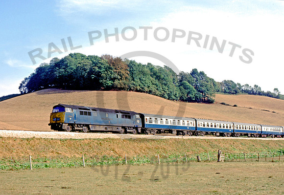 1051 Dainton Bank 220876 DFMo051