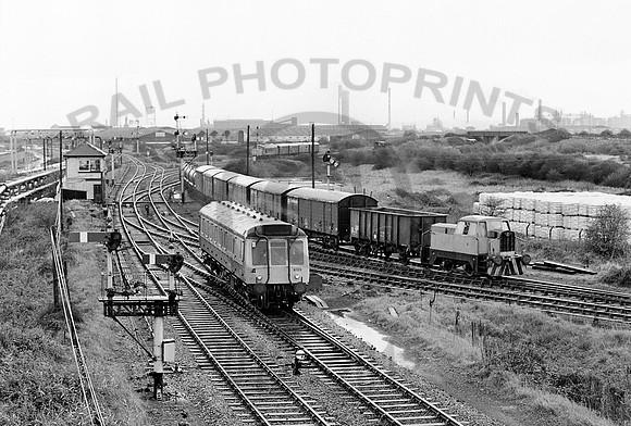 55026-Y-HallenMarsh-241184-JC676