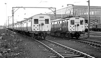 59604 & 49406 Reddish  260378 JC
