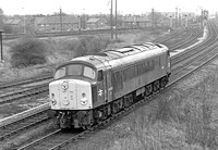 44007-TotonSouth-170479-928