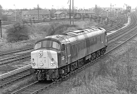 44007-TotonSouth-170479-928