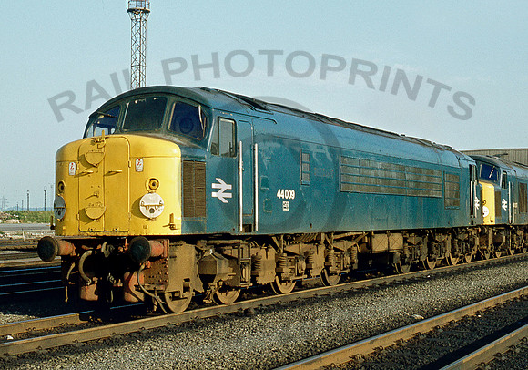 44009-Y-Toton-180678-PB908-1