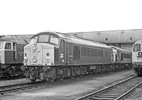 44004-Toton-170479-930