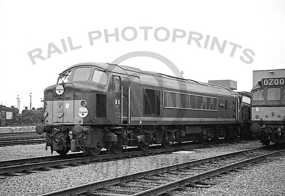 D8-Toton-110965-RPCMJ121