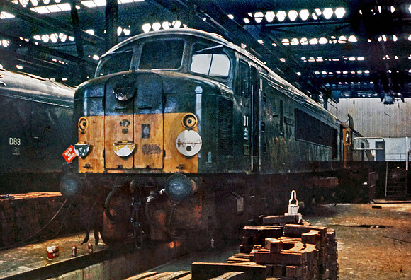 D1 Toton 0571  AB457