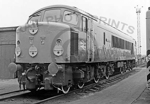 44008-Y-Toton-090679-HB911