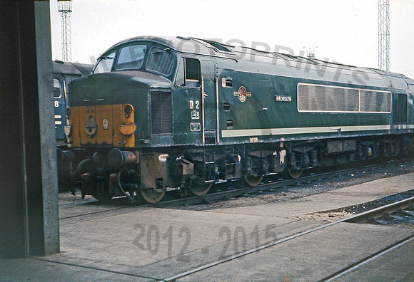 D2-Toton-130769-RP872