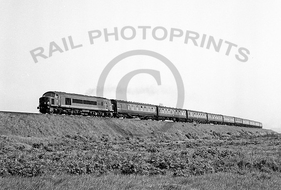 D2 Shap-1962-RPCJC005-1