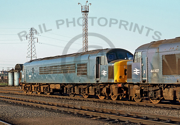 44009-Y-Toton-180678-PB959-1