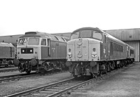 44004-47342-Toton-170479-935