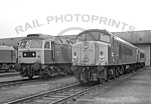 44004-47342-Toton-170479-935