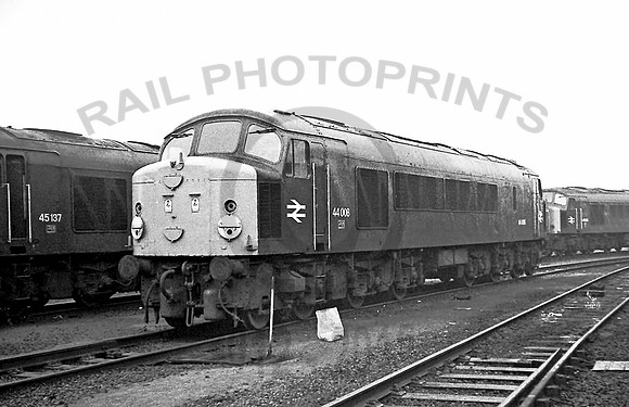 44008-Toton-271177