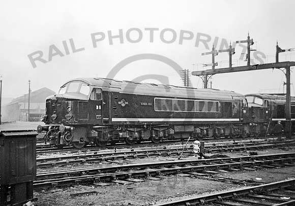 D5 Derby 0959 KLC919