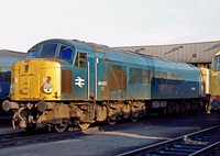 44002-Y-Toton-180678-PB906-1