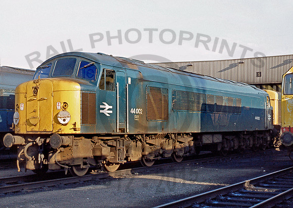44002-Y-Toton-180678-PB906-1