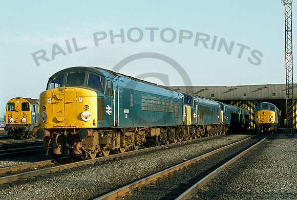 44009-Y-Toton-180678-PB877-1