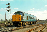 44007-March-270979-GE2313