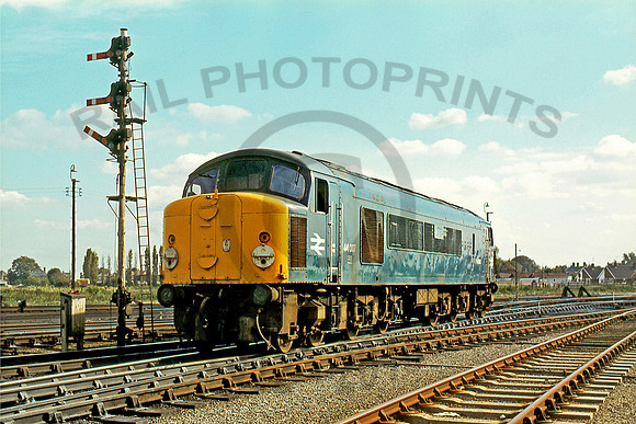 44007-March-270979-GE2313