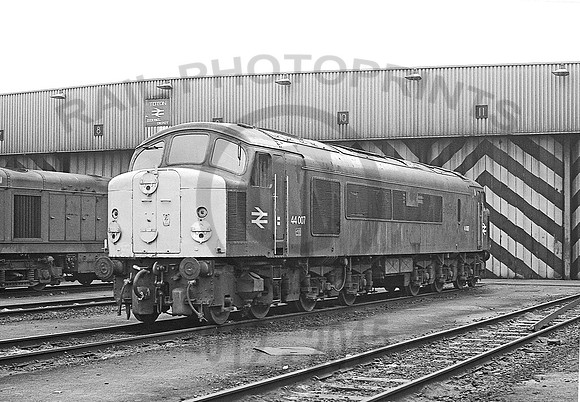 44007-Toton-170479-931
