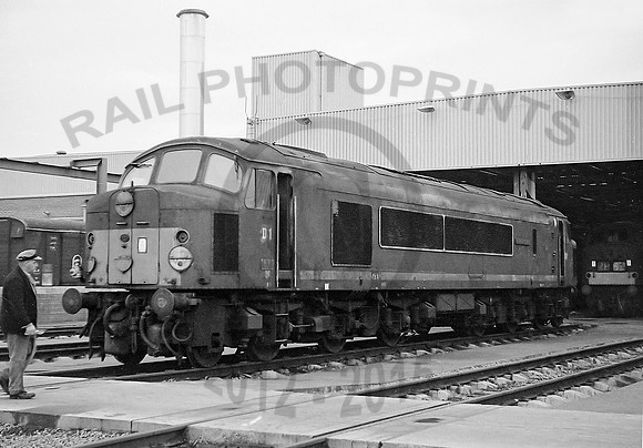 D1 Toton-110965-RPCMJ019_filtered