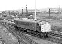44007-TotonSouth-170479-929
