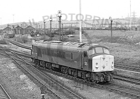 44007-TotonSouth-170479-929