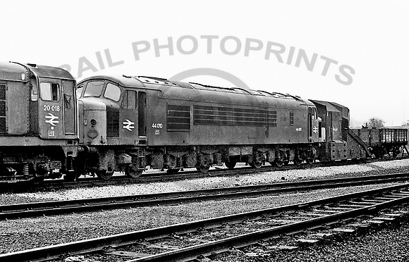 44010-Y-Toton-271177