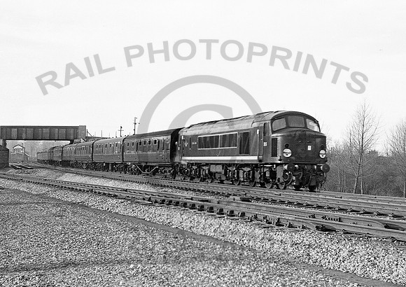 D5-Y-Stafford-0460-RPC879