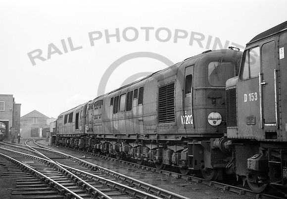 10202-Y-Derby-1263-RPC253