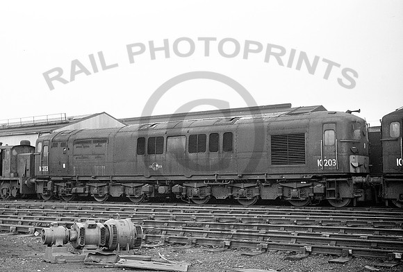 10203-Y-Derby-1262-RPC254