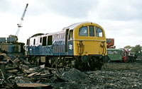 74009 Birds Long Marston 291078 GS082