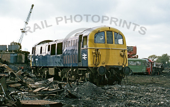 74009 Birds Long Marston 291078 GS082