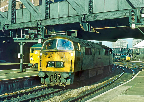 1043 Paddington-1972-RPC310R