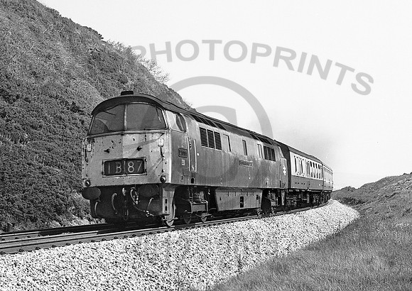 D1005-Y-DawlishWarren-1971-AHB801