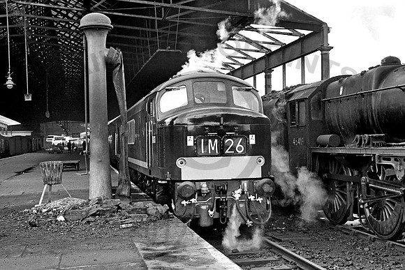D63 Rugby 310362 NS0021-08