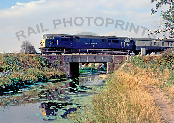 D1001 Taunton 270876 DMo001